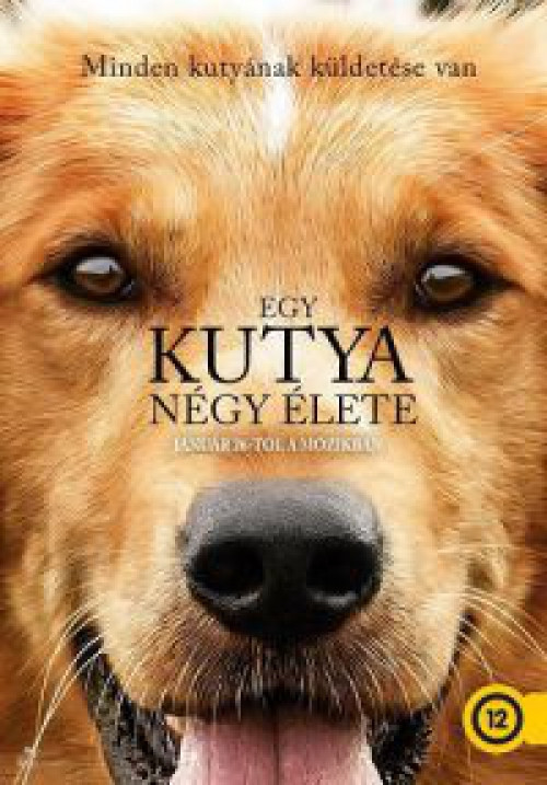 Egy-kutya-negy-elete--dvd-396258